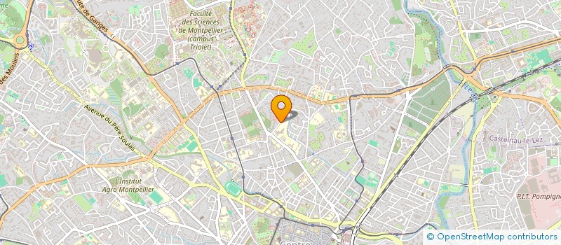 localisation de l'entreprise MONSIEUR EMANUELE RUSSO  MONTPELLIER