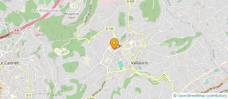 localisation de l'entreprise MONSIEUR EMERIC FELLER à VALLAURIS