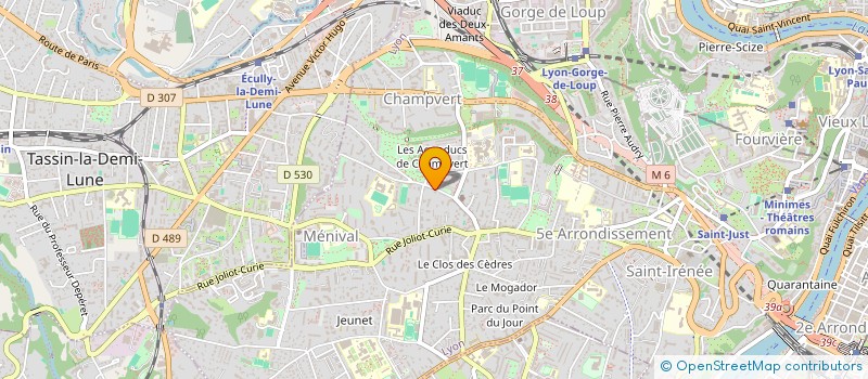 localisation de l'entreprise MONSIEUR EMERIC LEPRINCE à LYON
