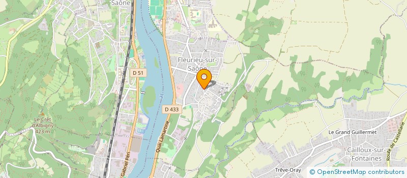 localisation de l'entreprise MONSIEUR EMERICK RICHARD  FLEURIEU-SUR-SAONE