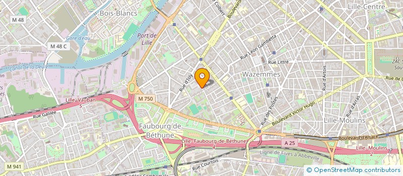 localisation de l'entreprise MONSIEUR EMERIK BRICAUD à ORVAULT