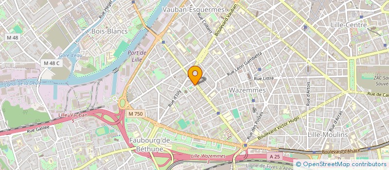 localisation de l'entreprise MONSIEUR EMIL GULIYEV à LILLE