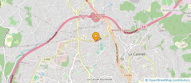 localisation de l'entreprise MONSIEUR EMILE BERTHILLON à LE CANNET