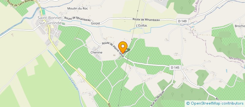 localisation de l'entreprise MONSIEUR EMILE BOURDIEU-PUYADE  SAINT-BONNET-SUR-GIRONDE