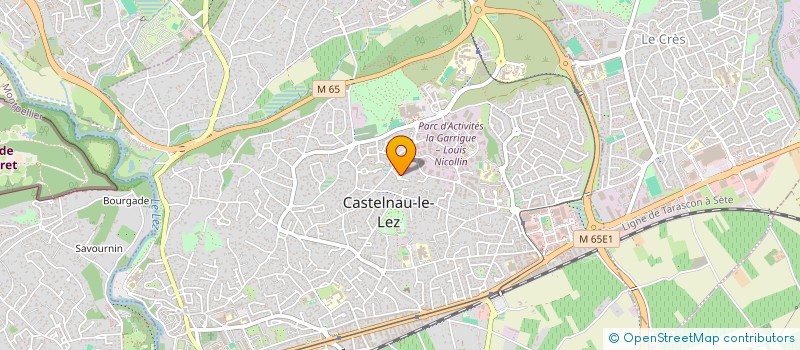 localisation de l'entreprise MONSIEUR EMILE DIAZ à CASTELNAU-LE-LEZ