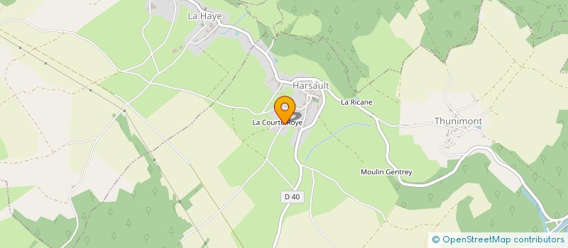 localisation de l'entreprise MONSIEUR EMILE THOUVENOT  LA VOGE-LES-BAINS