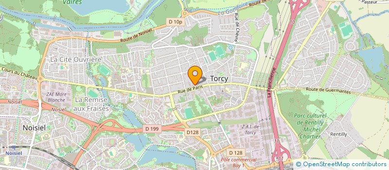 localisation de l'entreprise MONSIEUR EMILIANO RAMIRES  TORCY