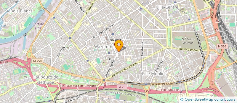 localisation de l'entreprise MONSIEUR EMILIEN FOIRET  LILLE
