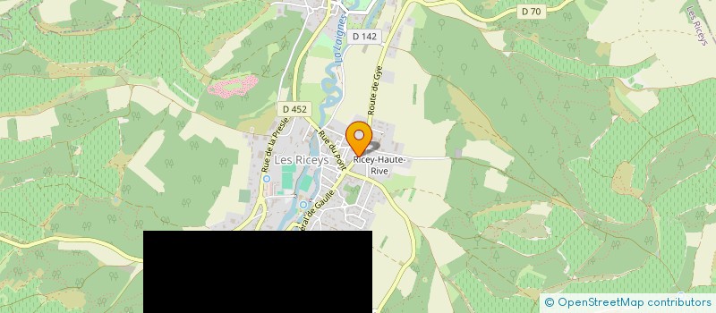 localisation de l'entreprise MONSIEUR EMILIEN LAMOUREUX  LES RICEYS