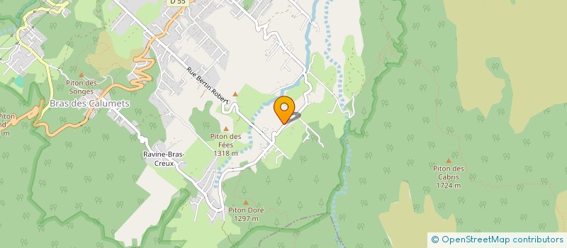 localisation de l'entreprise MONSIEUR EMILIEN MARDAYE  LA PLAINE-DES-PALMISTES