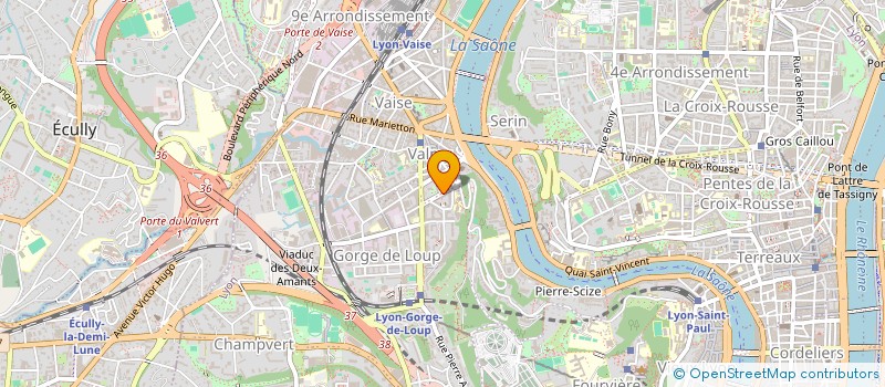 localisation de l'entreprise MONSIEUR EMILIEN MAUGER à LYON