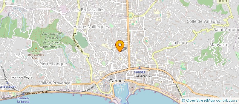 localisation de l'entreprise MONSIEUR EMILIO VAZ ANDRADE  CANNES