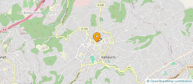 localisation de l'entreprise MONSIEUR EMIR BOUSNINA  VALLAURIS