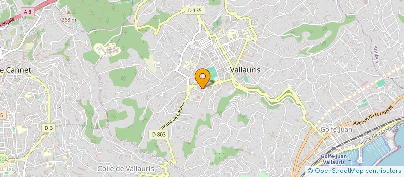 localisation de l'entreprise MONSIEUR EMMANUEL ARNOUX à VALLAURIS