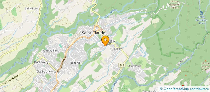 localisation de l'entreprise MONSIEUR EMMANUEL BELLON à SAINT-CLAUDE