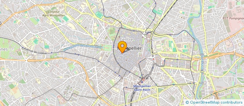 localisation de l'entreprise MONSIEUR EMMANUEL BLANCHEMANCHE à MONTPELLIER