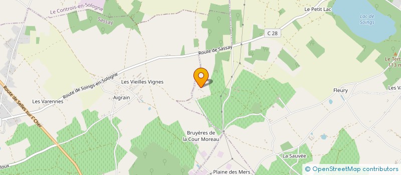 localisation de l'entreprise MONSIEUR EMMANUEL BOISSIER à SOINGS EN SOLOGNE