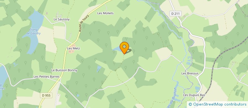 localisation de l'entreprise MONSIEUR EMMANUEL CLERC  SAINT-SAUVEUR-EN-PUISAYE