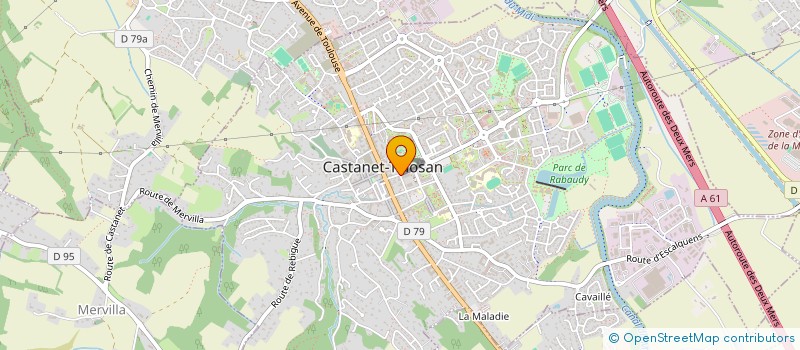localisation de l'entreprise MONSIEUR EMMANUEL DOUAY  CASTANET-TOLOSAN