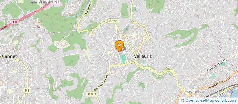 localisation de l'entreprise MONSIEUR EMMANUEL FAJARDI à VALLAURIS