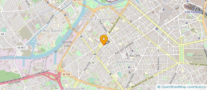 localisation de l'entreprise MONSIEUR EMMANUEL FLEURY à LILLE