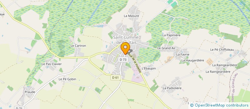 localisation de l'entreprise MONSIEUR EMMANUEL HINGUE à SAINT-LUMINE-DE-COUTAIS
