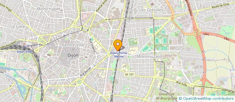 localisation de l'entreprise MONSIEUR EMMANUEL LELEU à DIJON