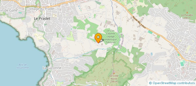 localisation de l'entreprise MONSIEUR EMMANUEL MAGERAND  LE PRADET