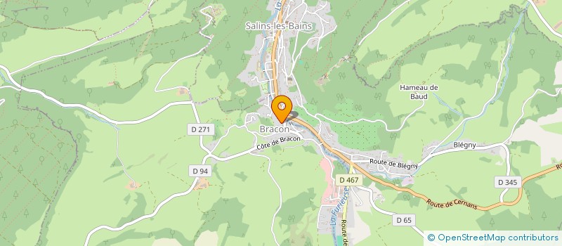 localisation de l'entreprise MONSIEUR EMMANUEL MUNIER  SALINS-LES-BAINS