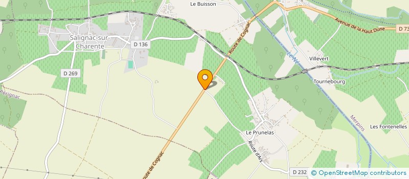 localisation de l'entreprise MONSIEUR EMMANUEL REINARD  SALIGNAC-SUR-CHARENTE