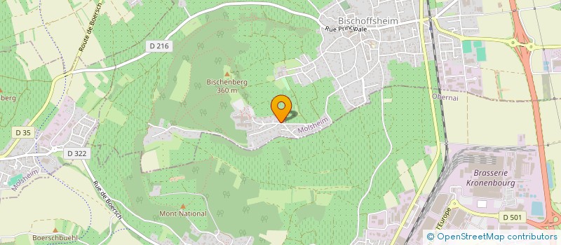 localisation de l'entreprise MONSIEUR EMMANUEL RITZENTHALER  BISCHOFFSHEIM