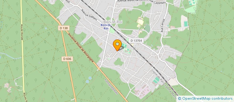 localisation de l'entreprise MONSIEUR EMMANUEL ROUSSEL à BOIS-LE-ROI
