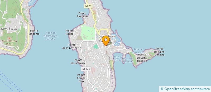localisation de l'entreprise MONSIEUR EMMANUEL WAHLEN à SAINT-JEAN-CAP-FERRAT