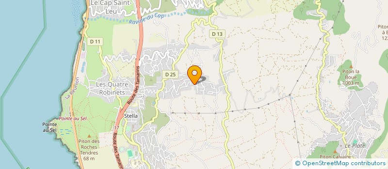 localisation de l'entreprise MONSIEUR EMMETT THOMPSON à SAINT-LEU