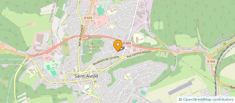 localisation de l'entreprise MONSIEUR EMRA TUNC  SAINT-AVOLD