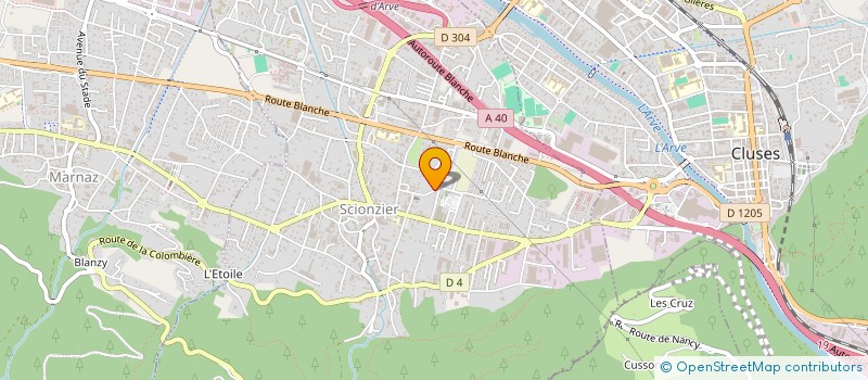 localisation de l'entreprise MONSIEUR EMRAH CENIK  SCIONZIER