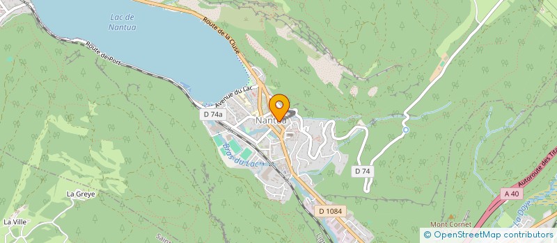 localisation de l'entreprise MONSIEUR EMRE YORUK  NANTUA