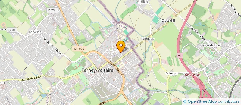 localisation de l'entreprise MONSIEUR ENGIN ATAC à FERNEY-VOLTAIRE