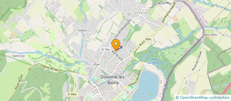 localisation de l'entreprise MONSIEUR ENRICO DOLCE à DIVONNE-LES-BAINS