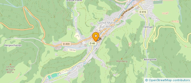 localisation de l'entreprise MONSIEUR ENRICO RINALDI à SAINTE-MARIE-AUX-MINES