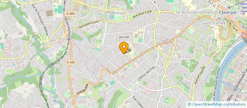 localisation de l'entreprise MONSIEUR ENZO ALBINO  LYON