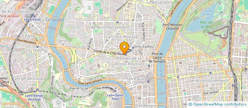 localisation de l'entreprise MONSIEUR ENZO BEDJGUELAL à LYON