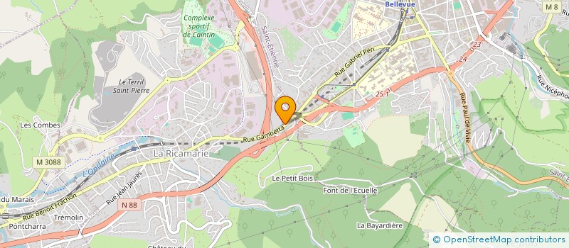 localisation de l'entreprise MONSIEUR ENZO CANO  LA RICAMARIE