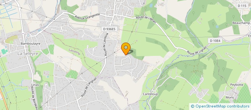 localisation de l'entreprise MONSIEUR ENZO DANIEL  CARIGNAN-DE-BORDEAUX