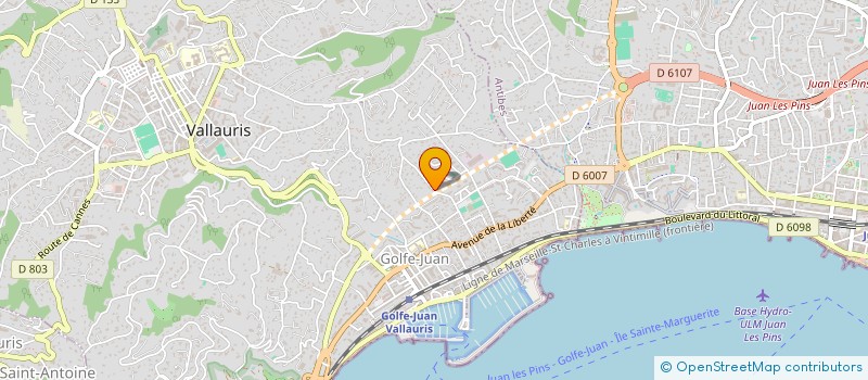 localisation de l'entreprise MONSIEUR ENZO DHOTELLE  VALLAURIS