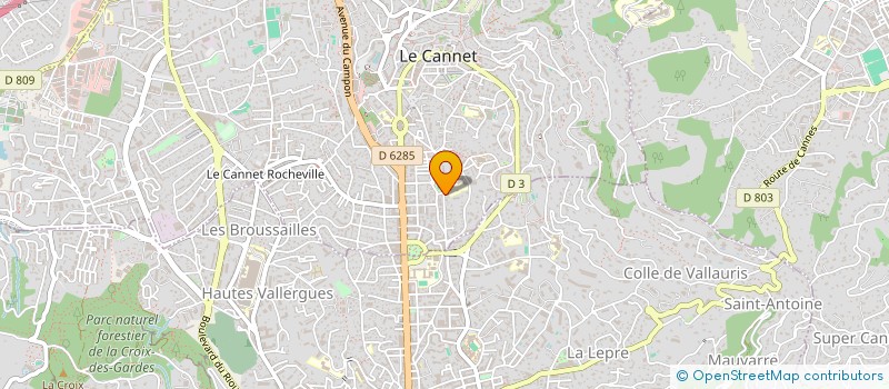 localisation de l'entreprise MONSIEUR ENZO ENZO MARCHEI à LE CANNET