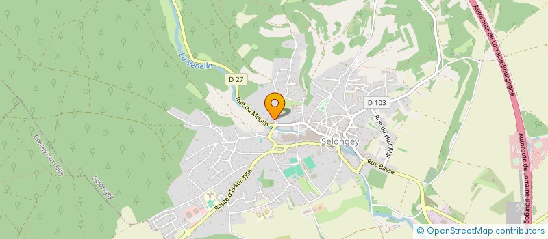 localisation de l'entreprise MONSIEUR ENZO FROCHOT  SELONGEY