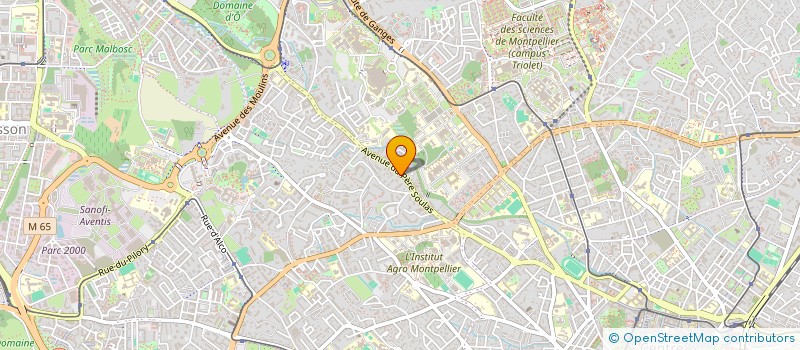 localisation de l'entreprise MONSIEUR ENZO MATHIEUX  MONTPELLIER