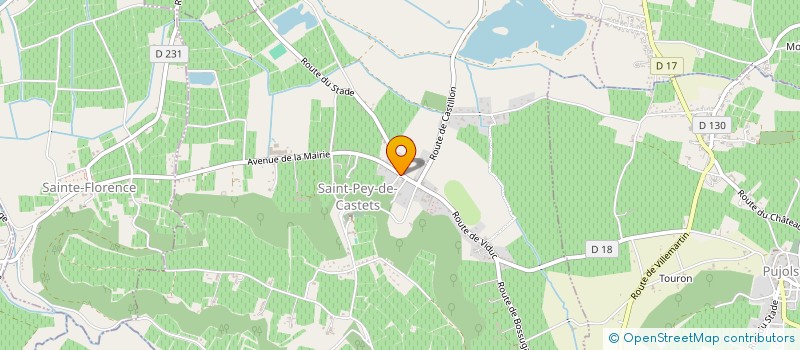 localisation de l'entreprise MONSIEUR ENZO NIOTEAU  SAINT-PEY-DE-CASTETS