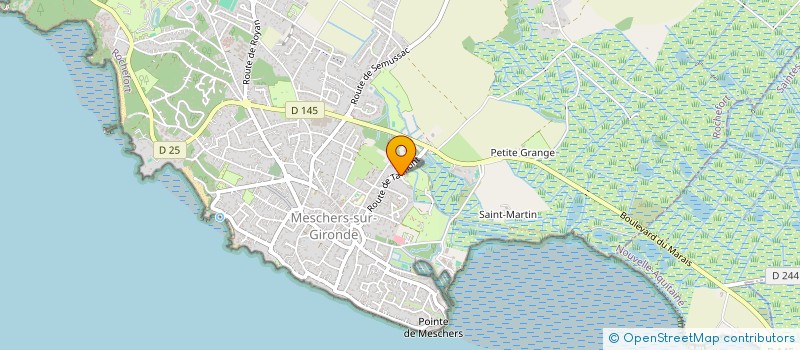 localisation de l'entreprise MONSIEUR ENZO POLIZZI  MESCHERS-SUR-GIRONDE